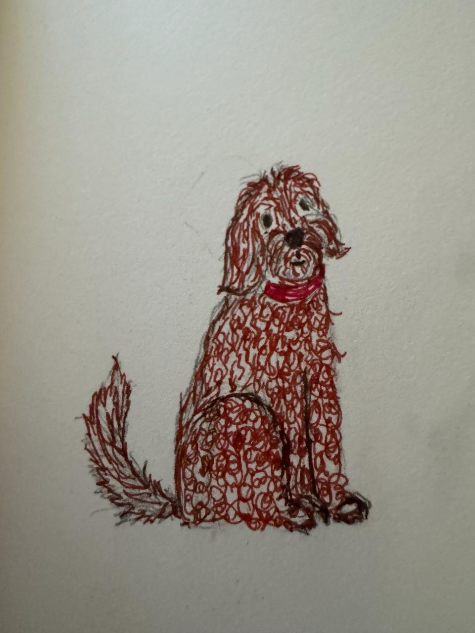 Hunter the goldendoodle — hand-drawn illustration by Tami Moulton