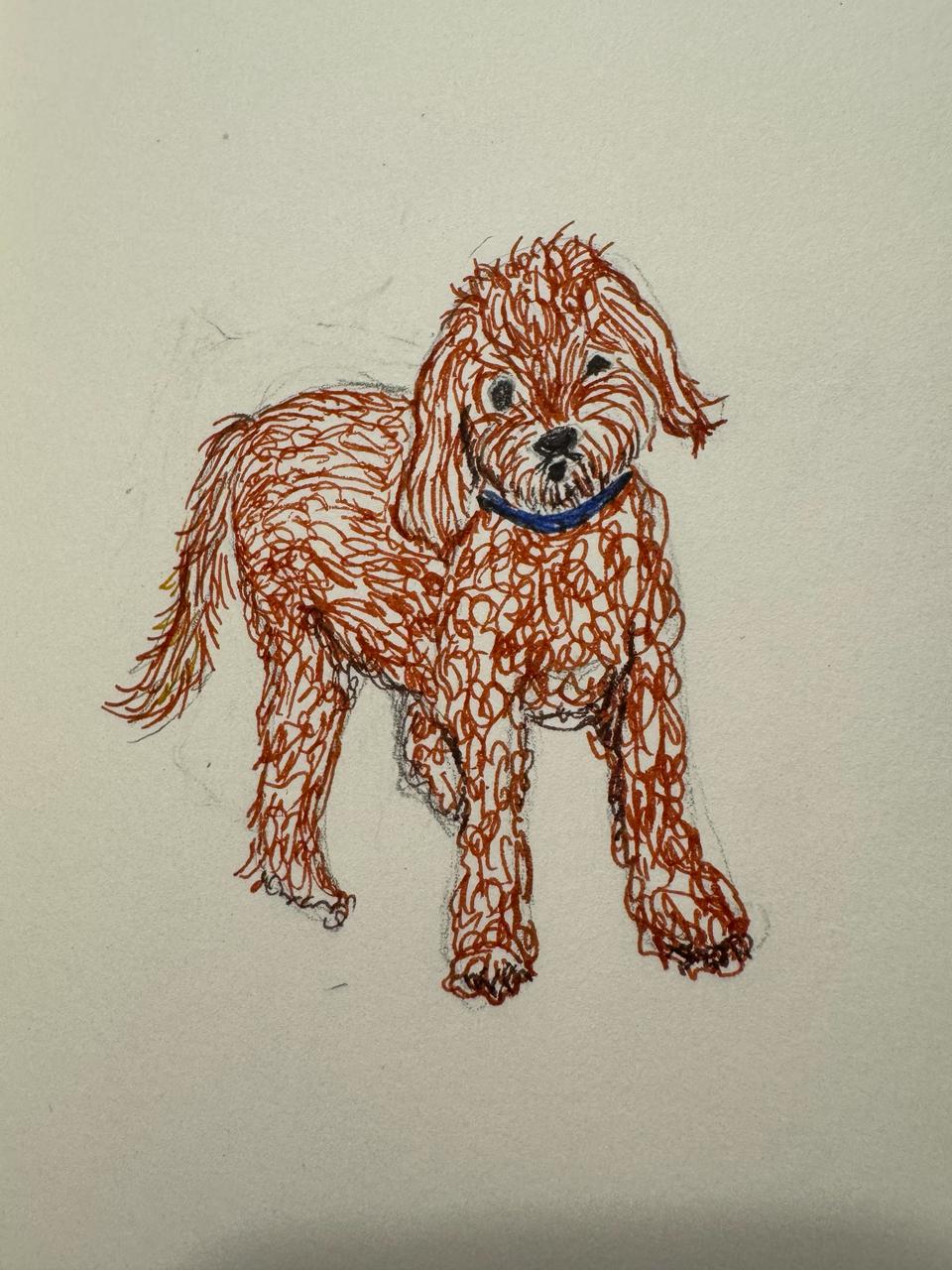 Hunter the goldendoodle — hand-drawn illustration